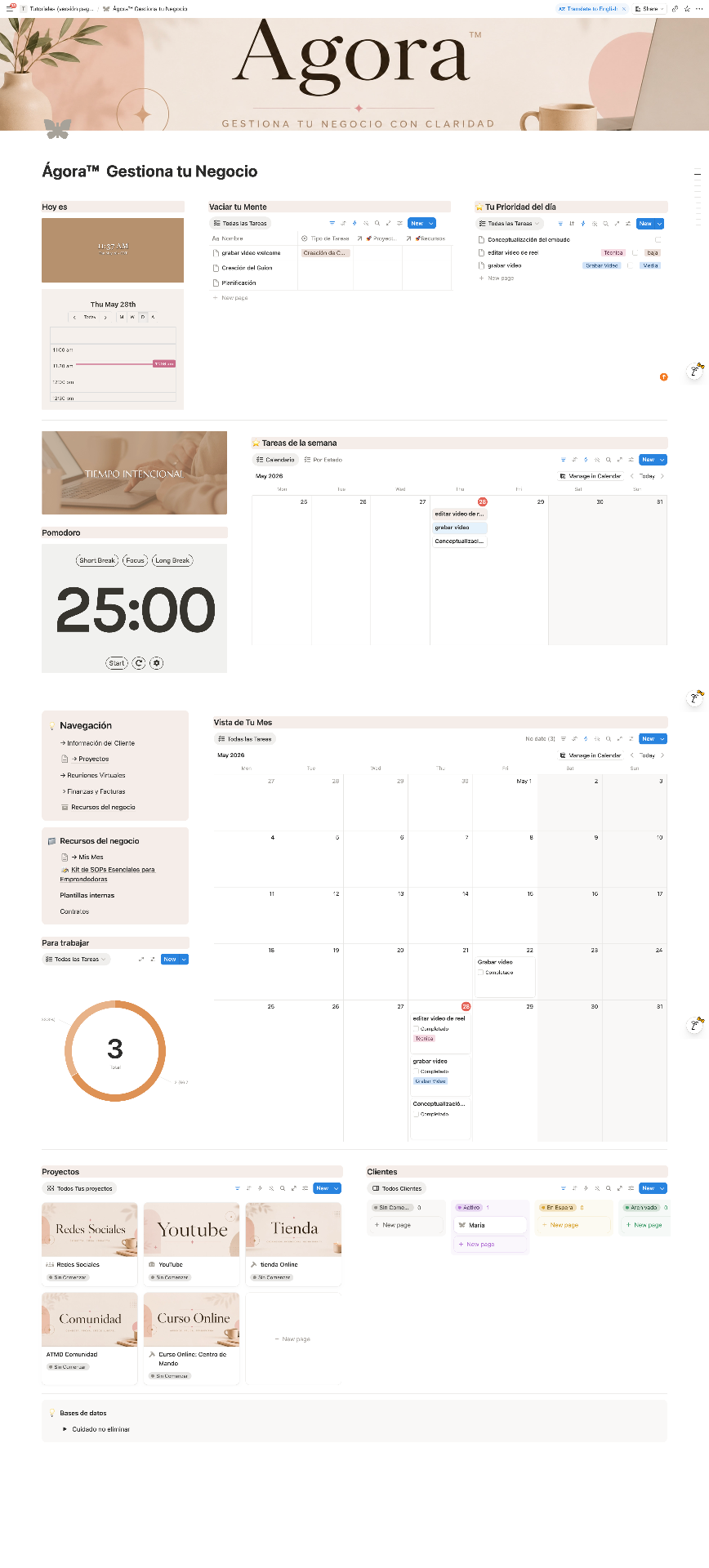 Vista previa del Dashboard Ágora